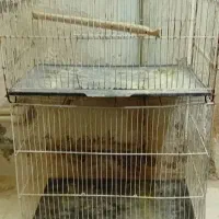 قفس وآغول|لوازم جانبی حیوانات|قوچان, |دیوار