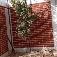 کاشی کار
