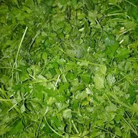 سفارش سبزی به صورت کلی، ویژه رستوران و سوپرمارکت|خوردنی و آشامیدنی|سبزوار, مدرس|دیوار