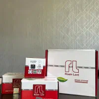 نمایندگی اصلی لنت رویین صنعت