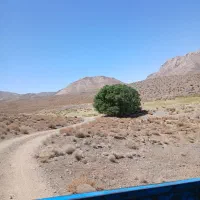 وانت نیسان کرایه برای حمل بار تو شهری وبیرون شهری|خدمات حمل و نقل|یزد, |دیوار