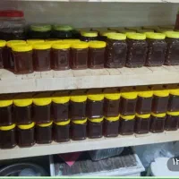 عسل ارگانیک کوهستان گرین (ارسال رایگان)|خوردنی و آشامیدنی|تهران, جمهوری|دیوار