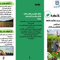 پوستر و بروشور و اینفوگرافیک حرفه ایی