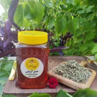 شهر عسل در بندرعباس  ...|خوردنی و آشامیدنی|بندرعباس, |دیوار