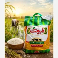 عمده فروش|خوردنی و آشامیدنی|تهران, هفت چنار|دیوار