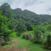 سرایدار|استخدام سرایداری و نظافت|رستمآباد, |دیوار