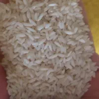 فروش برنج عنبر بو درجه1