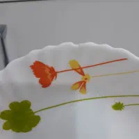 ظرف|ظروف سرو و پذیرایی|چمران, |دیوار