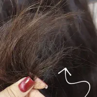 تخفیف موخوره گیری|خدمات آرایشگری و زیبایی|مبارکه, |دیوار