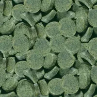 گیاه روآبی و حلزون سیب(سالن پرورش) با قیمت منصفانه|ماهی|تبریز, |دیوار