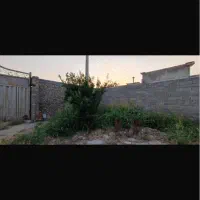 باغ چهاردیواری کوچه ویلاسازی شاهدشهر آماده ی ساخت|فروش زمین و ملک کلنگی|تهران, تهرانسر مرکزی|دیوار