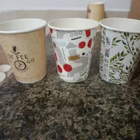 لیوان بهداشتی کاغذی 220کیفیت بالا|ظروف نگهدارنده، پلاستیکی، یک‌بارمصرف|بیرجند, |دیوار