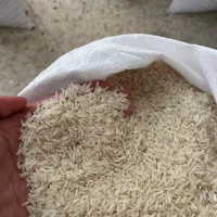 تامین برنج شما با هر تناژ|خوردنی و آشامیدنی|ساری, |دیوار