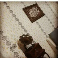 نقاشی ساختمان وطرح کاغذدیواری|خدمات پیشه و مهارت|سیرجان, |دیوار