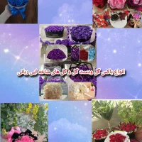 انواع دست گل ربانی