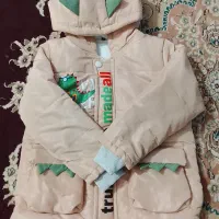 کت نو نو فروشی با قیمت مناسب