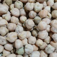 نخود|حراج|قم, نیروگاه|دیوار