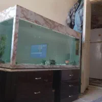 آکواریوم 120سانتی سفارشی ساخت محکم ومقاوم4دبسکس