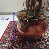 درختچه آپارتمانی (۱۶۰ سانتی)|گل مصنوعی|تهران, نارمک جنوبی|دیوار