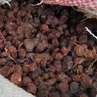 بار تاکستان|خوردنی و آشامیدنی|تاکستان, |دیوار