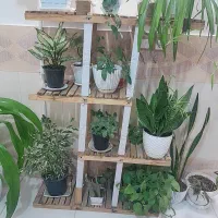 استند گل