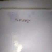 دیس‌گل‌سرخی|ظروف سرو و پذیرایی|محمدشهر, محمدشهر|دیوار