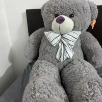 عروسک نو خرس