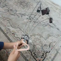 اسپلینت عنکبوتی