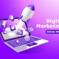 سئو کار و طراح سایت هستم