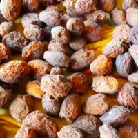 زرد الوی خشک و آلوچه خشک|خوردنی و آشامیدنی|تبریز, |دیوار