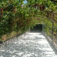 ویلا و خانه باغ