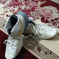 کفش سالنی اسیکس