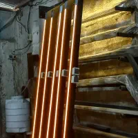 چراغ باغ. ویلا. محوطه