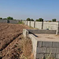 فروش باغچه ۱۹۰۰ متری در دزفول|فروش دفتر صنعتی، کشاورزی، تجاری|اهواز, پادادشهر|دیوار