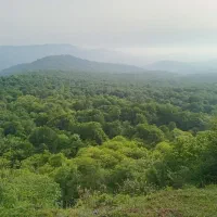 اجاره سوییت شبانه