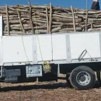 رنو  میدلام تک  باری270 مدل 83