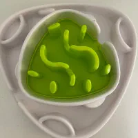 اسباب بازی‌ سگ
