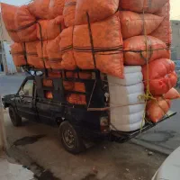 وانت بار سیستان زهک