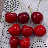 گیلاس تک دانه در باغ