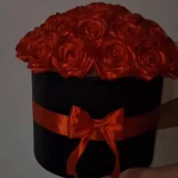 رز جاودان|گل مصنوعی|شیراز, شهرک بهشتی|دیوار