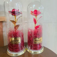 ۲ عدد گلدان گل رز