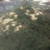 یونجه فروشی|حیوانات مزرعه|زند, |دیوار