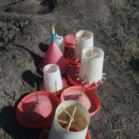 دونه خور وابخور برای مرغ