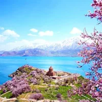 تور وان گروهی با هماگشت|تور و چارتر|قم, عمار یاسر|دیوار