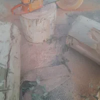 هرس وبرش درختان باغی وخانگی..