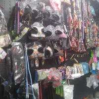 غذاخشک سگ وگربه باکس وجاخواب وقلاده