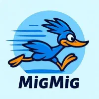 اینترنت و شبکه های همراه