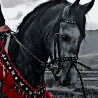 کله کی دهنه دی اصلی تعلیمی سینه بند