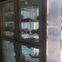 دوعدد یخچال و یک فریزر