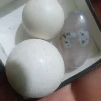 باسلام سنگ آسیاب ۱د گرمی